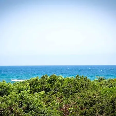 فندق مبيت وإفطار D'amare 4*